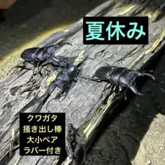 2026年最新】クワガタ 棒の人気アイテム - メルカリ