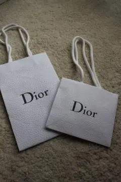 Dior ホワイトショップ袋 大小セット　ディオール