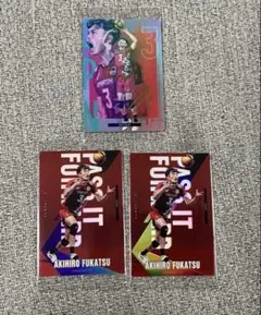 日本代表　男子バレー　ウエハース　カード　セット