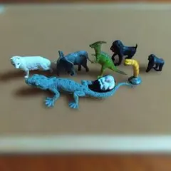 動物　生き物　フィギュアセット 8種　動物園