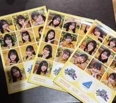 MonsterGroove 日向坂46 ステッカー ひなこれ 抽選会