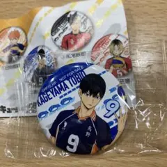 影山飛雄 ピンバッジ びっくらポン