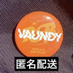 Vaundy ピンバッジ 缶バッジ セット 2026年最新】vaundy ピンバッジの人気アイテム - メルカリ