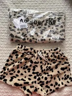 Another fox セットアップ　ダルメシアン