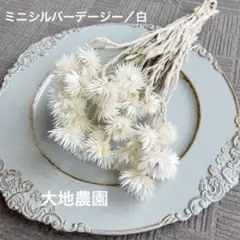 済　koko様　ご専用