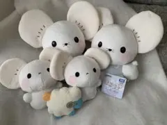 イッカネズミ 等身大 ポケモンぬいぐるみ いつの間にか進化！？タグあり
