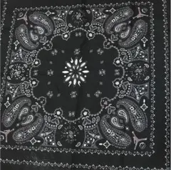 トラヴィスバンダナ一枚