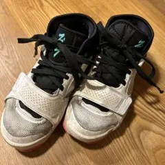 Item thumbnail for item bd838fb5-7841-4961-b2d4-233830e02841