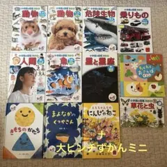 ハッピーセット　小学館の図鑑NEO 大ピンチずかんミニ