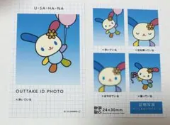 ウサハナ 証明写真風スマロイド 산리오 キャラクターズ