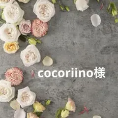 cocoriino様 リクエスト 2点 まとめ商品