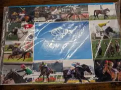 JRA 2025 カレンダー 愛すべきスターホースたち