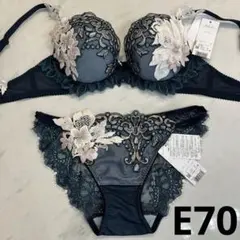 サルート　ローマの休日　E75/M　GB　02　P-upブラ　ノーマルショーツ サルート ローマの休日 E75/M GB 02 P-upブラ ノーマルショーツ ローマ