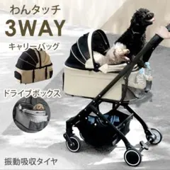 Item thumbnail for item 645c927c-e6f1-4bb8-b227-18719aa1e9b9