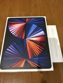 iPad Pro 12.9 第5世代 128GB ApplePencil付き