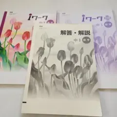 中1 数学　iワーク　iワークプラス　解答　解説付き