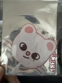 skzoo ジニレット ヒョンジン