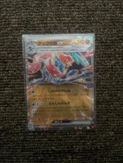 ゲッコウガex 045/066 RR ポケモンカードゲーム ポケカ