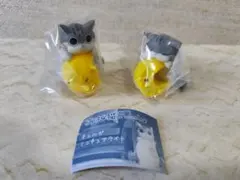 Item thumbnail for item 4c1c4b6f-9c57-4105-b4cb-fc4d2d4ac5b2