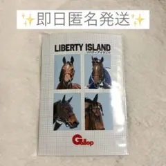 【即日匿名発送】リバティアイランド 証明写真風プリント
