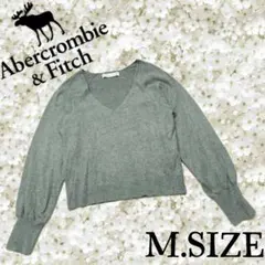 884〚Abercrombie & Fitch〛Vネック 長袖ニット グレー M