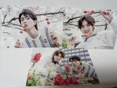 TVガイドPERSON CINEMASTARS 特典生写真 樋口幸平 駒木根葵汰