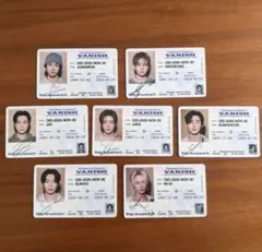 【匿名配送】ENHYPEN THE SIN : VANISH IDカードセット