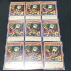 655 ローンファイアブロッサム 9枚セット