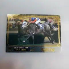 Item thumbnail for item 76eb8992-cc06-405d-a807-9e4bd14d743e