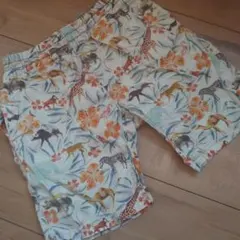 キッズ ハーフパンツ 動物柄　オーシャングラウンド