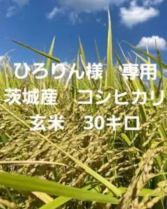 ひろりん様　専用　コシヒカリ
