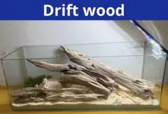 Item thumbnail for item e692bd73-0984-4639-9d0c-b1ce7d81cdbd