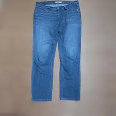LEVI STRAUSS & CO. ボーイフレンド　 デニム 26