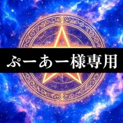 【ぷーあー様専用】