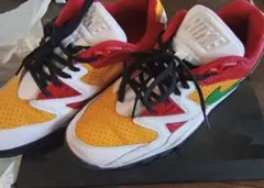 Nike Cross Trainer 3 Supreme