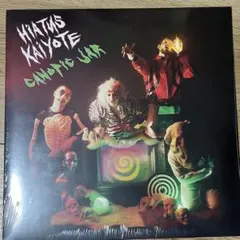 2026年最新】hiatus kaiyote レコードの人気アイテム - メルカリ