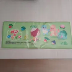 ぽこあ ポケモン 特典 ロングハンドタオル