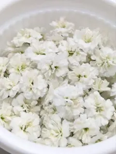 massan様 リクエスト 2点 まとめ商品