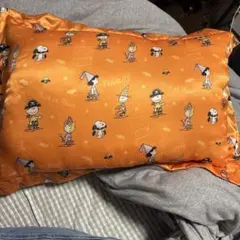 Item thumbnail for item b01f010d-721a-4f79-94b0-e916242ff620