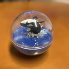 海洋生物 カプリウムコレクション シャチ