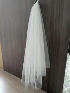 Item thumbnail for item df5cf375-b39d-47ea-ad28-5ba3368de61d