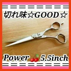 セニングシザープロ用ハサミ理美容師スキバサミハサミ＋トリマー