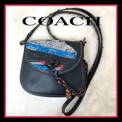 ✨️希少✨COACH ショルダーバッグ レザー　スパンコール　クラッチバッグ