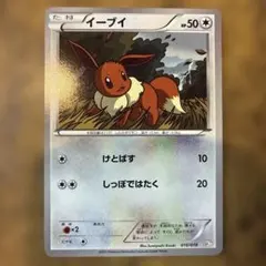 イーブイ [BKZ 010/018](バトル強化デッキ60「ゼクロムEX」)