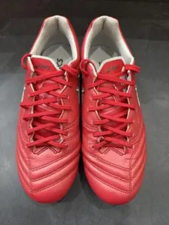 DS LIGHT X-FLY PRO 3(レッド×ホワイト) 24.5cm