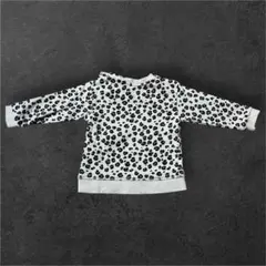 Item thumbnail for item 1ebc272d-0b14-42e0-a08b-e26d387b01e2