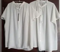 Item thumbnail for item 33289b9b-d896-4aa6-92ff-0ffb63a376d1