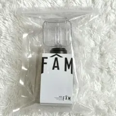 即日発送　timelesz LIVE TOUR FAM ペンライト