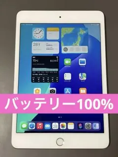 iPad mini 5 WiFi + Cellular 64GBシルバー