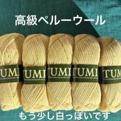 009【未使用品】高級ペルー毛糸「TUMI」ペルビアンハイランドウール100%